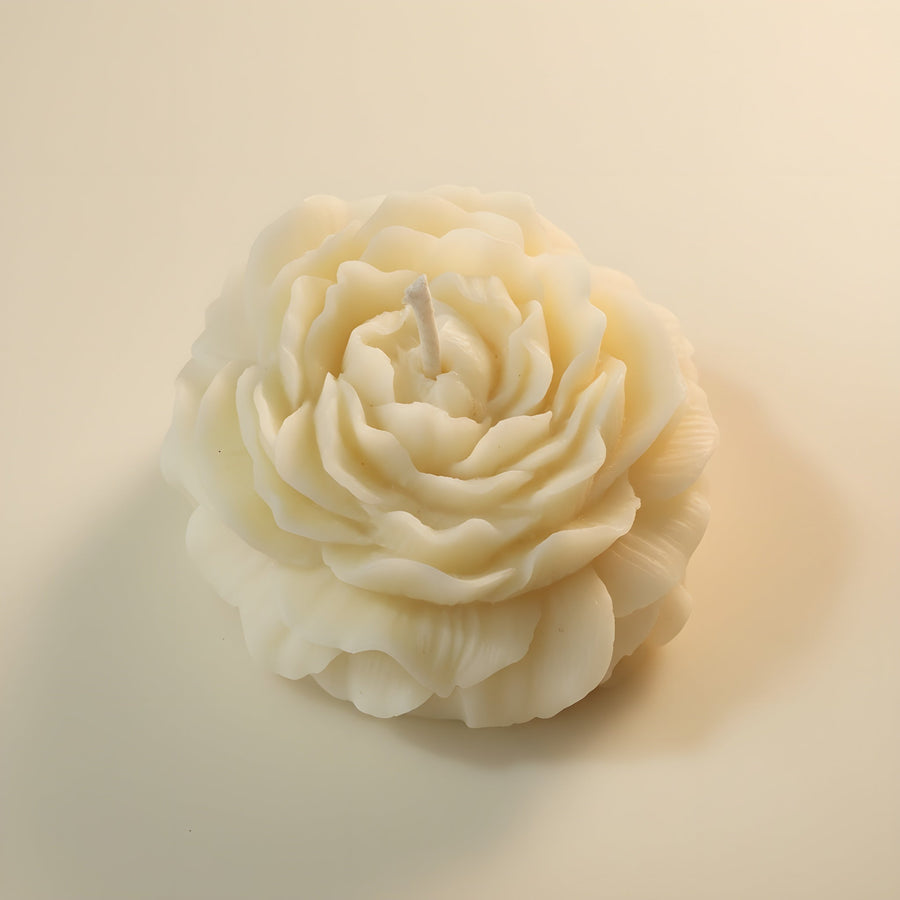 Peony Charm Cozy Shea Comfort Soy Wax Candle